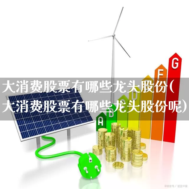 大消费股票有哪些龙头股份(大消费股票有哪些龙头股份呢)_https://www.fzdzcxj.com_深交所_第1张
