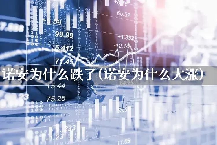 诺安为什么跌了(诺安为什么大涨)_https://www.fzdzcxj.com_上交所_第1张