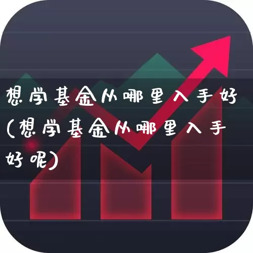 想学基金从哪里入手好(想学基金从哪里入手好呢)_https://www.fzdzcxj.com_北交所_第1张