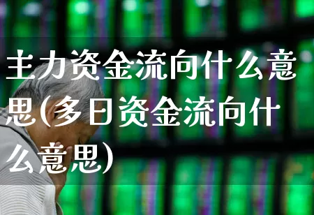主力资金流向什么意思(多日资金流向什么意思)_https://www.fzdzcxj.com_北交所_第1张