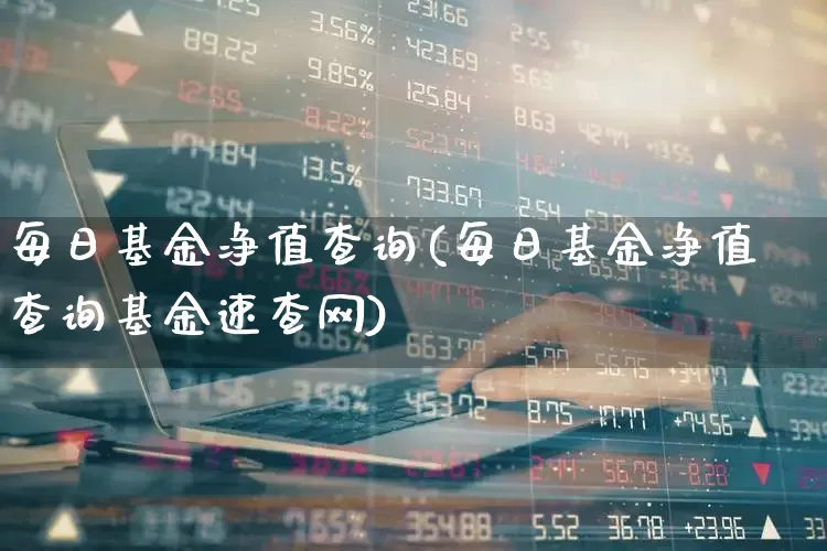 每日基金净值查询(每日基金净值查询基金速查网)_https://www.fzdzcxj.com_创业板_第1张