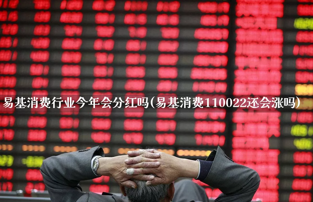 易基消费行业今年会分红吗(易基消费110022还会涨吗)_https://www.fzdzcxj.com_创业板_第1张