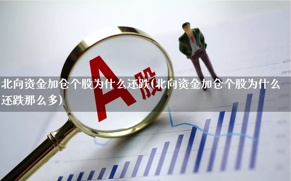 北向资金加仓个股为什么还跌(北向资金加仓个股为什么还跌那么多)_https://www.fzdzcxj.com_上交所_第1张