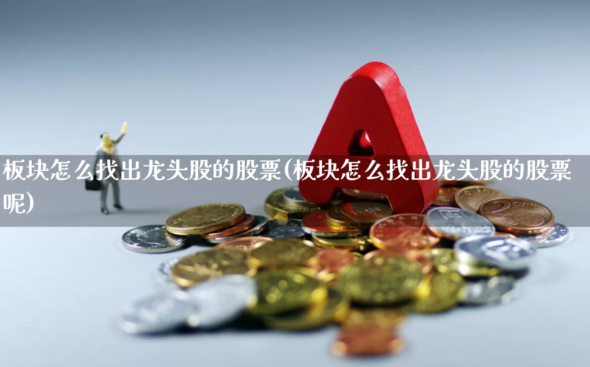 板块怎么找出龙头股的股票(板块怎么找出龙头股的股票呢)_https://www.fzdzcxj.com_深交所_第1张