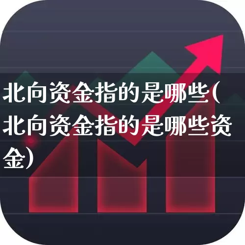 北向资金指的是哪些(北向资金指的是哪些资金)_https://www.fzdzcxj.com_科创板_第1张