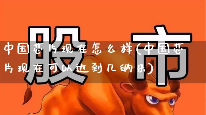 中国芯片现在怎么样(中国芯片现在可以达到几纳米)_https://www.fzdzcxj.com_创业板_第1张