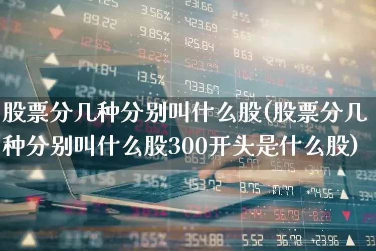 股票分几种分别叫什么股(股票分几种分别叫什么股300开头是什么股)_https://www.fzdzcxj.com_北交所_第1张