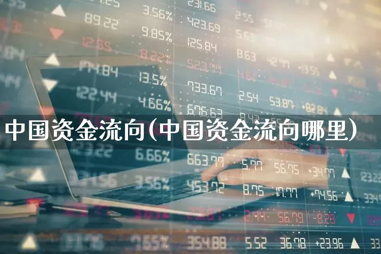 中国资金流向(中国资金流向哪里)_https://www.fzdzcxj.com_上交所_第1张