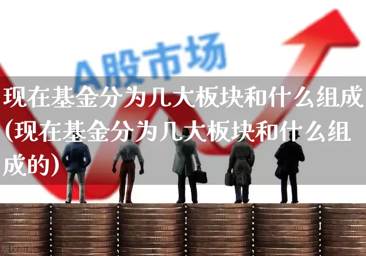 现在基金分为几大板块和什么组成(现在基金分为几大板块和什么组成的)_https://www.fzdzcxj.com_北交所_第1张