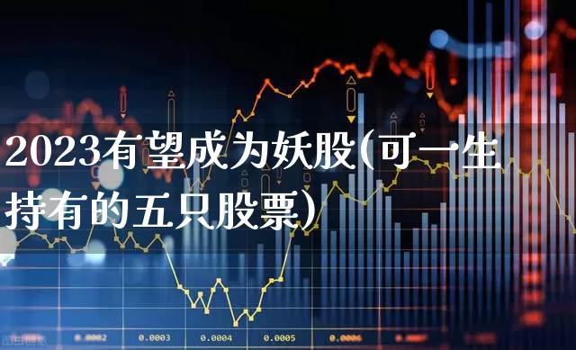 2023有望成为妖股(可一生持有的五只股票)_https://www.fzdzcxj.com_科创板_第1张