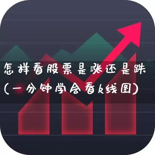 怎样看股票是涨还是跌(一分钟学会看k线图)_https://www.fzdzcxj.com_科创板_第1张