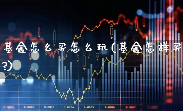 基金怎么买怎么玩(基金怎样买?)_https://www.fzdzcxj.com_上交所_第1张