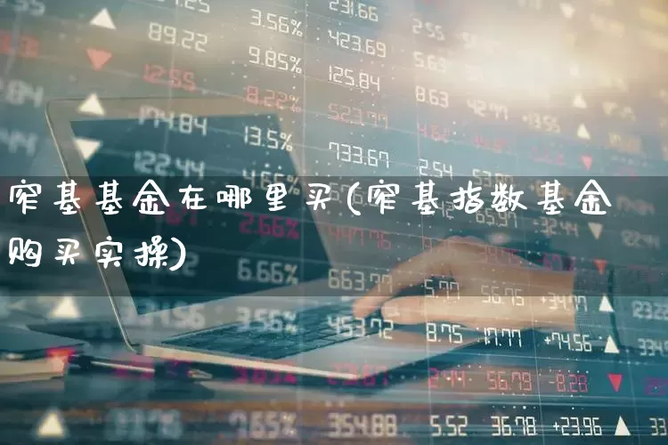 窄基基金在哪里买(窄基指数基金购买实操)_https://www.fzdzcxj.com_北交所_第1张