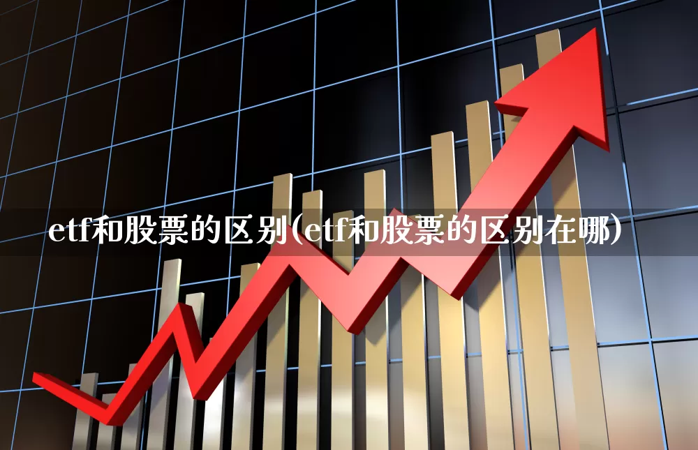 etf和股票的区别(etf和股票的区别在哪)_https://www.fzdzcxj.com_深交所_第1张