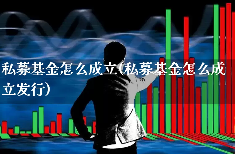 私募基金怎么成立(私募基金怎么成立发行)_https://www.fzdzcxj.com_创业板_第1张