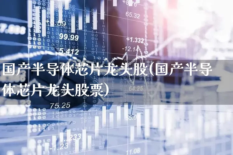 国产半导体芯片龙头股(国产半导体芯片龙头股票)_https://www.fzdzcxj.com_上交所_第1张