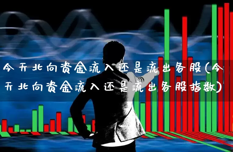 今天北向资金流入还是流出各股(今天北向资金流入还是流出各股指数)_https://www.fzdzcxj.com_上交所_第1张