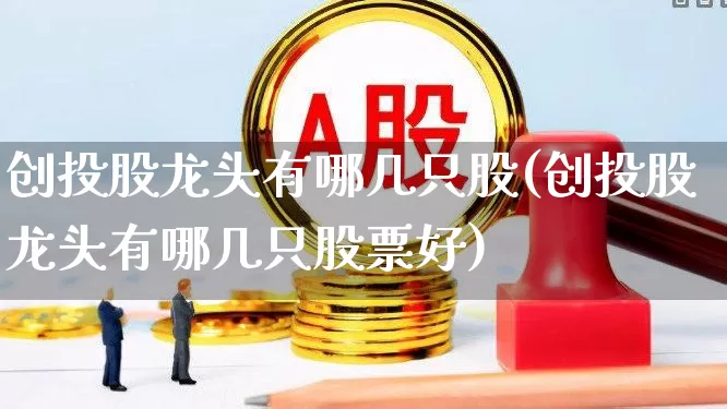 创投股龙头有哪几只股(创投股龙头有哪几只股票好)_https://www.fzdzcxj.com_上交所_第1张