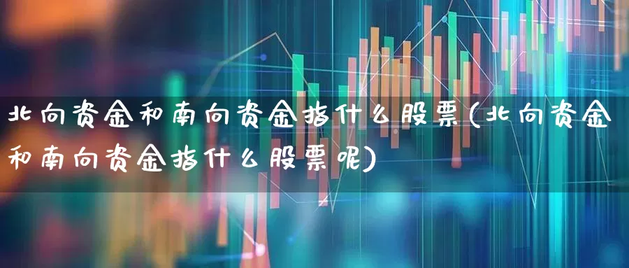 北向资金和南向资金指什么股票(北向资金和南向资金指什么股票呢)_https://www.fzdzcxj.com_科创板_第1张