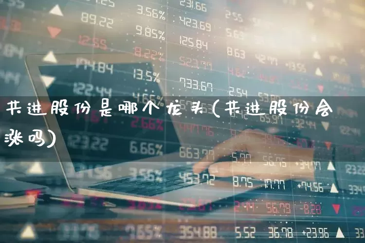 共进股份是哪个龙头(共进股份会涨吗)_https://www.fzdzcxj.com_创业板_第1张