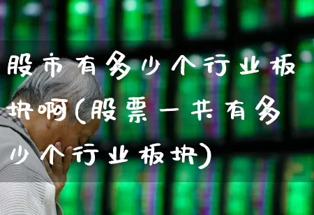 股市有多少个行业板块啊(股票一共有多少个行业板块)_https://www.fzdzcxj.com_上交所_第1张