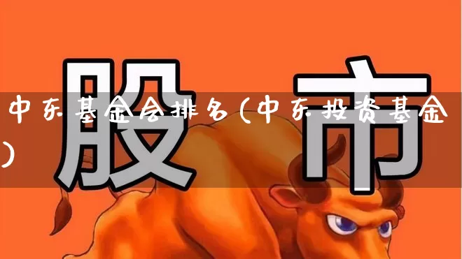 中东基金会排名(中东投资基金)_https://www.fzdzcxj.com_深交所_第1张