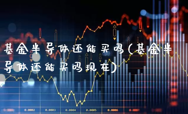 基金半导体还能买吗(基金半导体还能买吗现在)_https://www.fzdzcxj.com_上交所_第1张