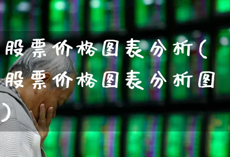 股票价格图表分析(股票价格图表分析图)_https://www.fzdzcxj.com_科创板_第1张
