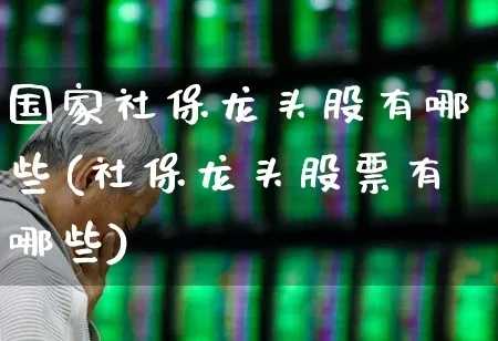 国家社保龙头股有哪些(社保龙头股票有哪些)_https://www.fzdzcxj.com_创业板_第1张