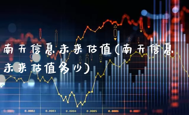 南天信息未来估值(南天信息未来估值多少)_https://www.fzdzcxj.com_上交所_第1张