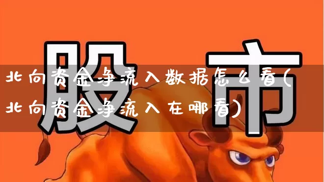 北向资金净流入数据怎么看(北向资金净流入在哪看)_https://www.fzdzcxj.com_上交所_第1张