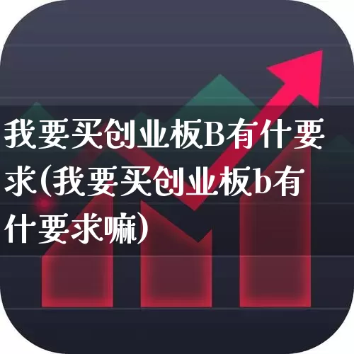 我要买创业板B有什要求(我要买创业板b有什要求嘛)_https://www.fzdzcxj.com_北交所_第1张