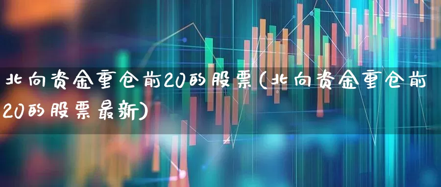 北向资金重仓前20的股票(北向资金重仓前20的股票最新)_https://www.fzdzcxj.com_上交所_第1张