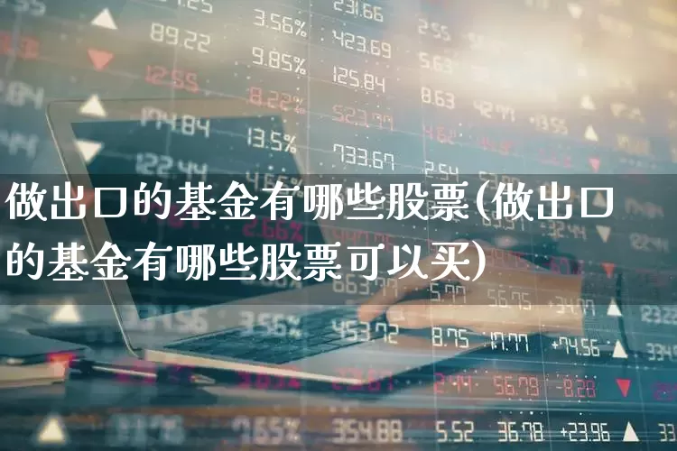 做出口的基金有哪些股票(做出口的基金有哪些股票可以买)_https://www.fzdzcxj.com_科创板_第1张