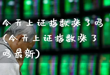 今天上证指数涨了吗(今天上证指数涨了吗最新)_https://www.fzdzcxj.com_上交所_第1张
