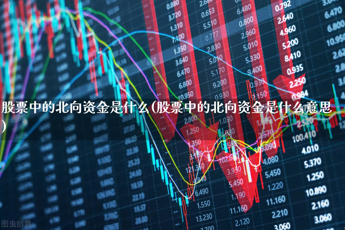 股票中的北向资金是什么(股票中的北向资金是什么意思)_https://www.fzdzcxj.com_创业板_第1张