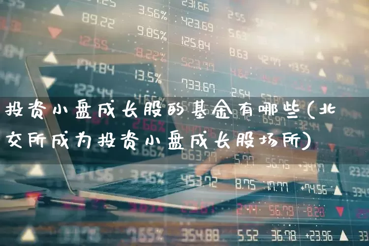 投资小盘成长股的基金有哪些(北交所成为投资小盘成长股场所)_https://www.fzdzcxj.com_科创板_第1张