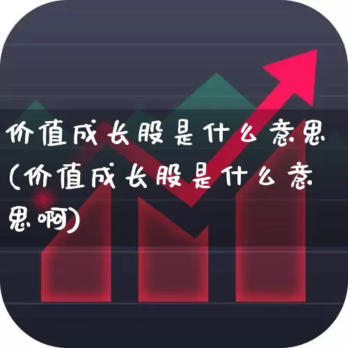 价值成长股是什么意思(价值成长股是什么意思啊)_https://www.fzdzcxj.com_北交所_第1张
