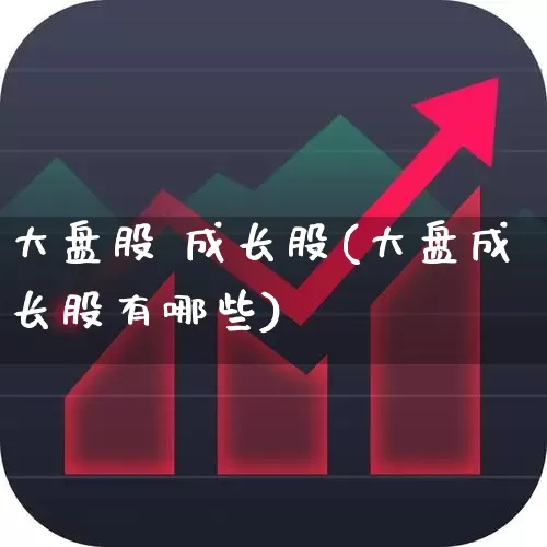 大盘股 成长股(大盘成长股有哪些)_https://www.fzdzcxj.com_科创板_第1张