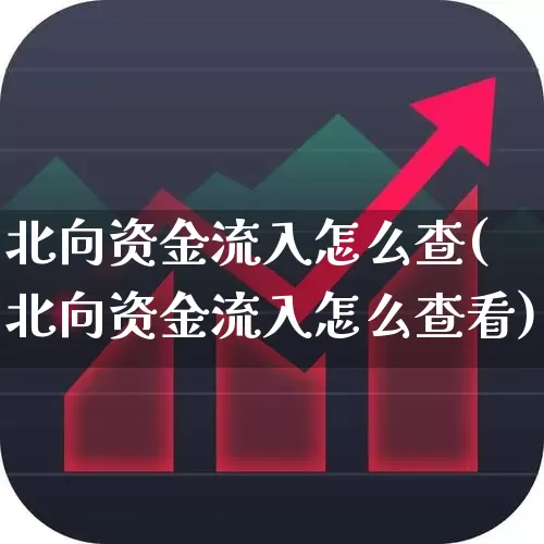 北向资金流入怎么查(北向资金流入怎么查看)_https://www.fzdzcxj.com_上交所_第1张