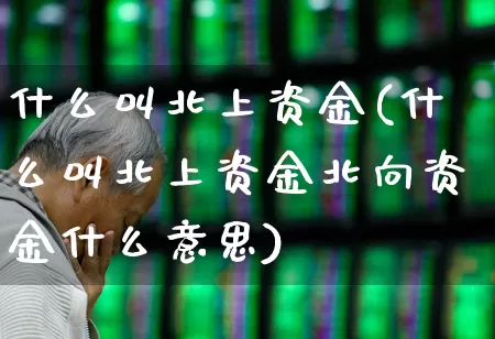 什么叫北上资金(什么叫北上资金北向资金什么意思)_https://www.fzdzcxj.com_创业板_第1张