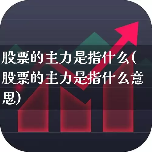 股票的主力是指什么(股票的主力是指什么意思)_https://www.fzdzcxj.com_北交所_第1张