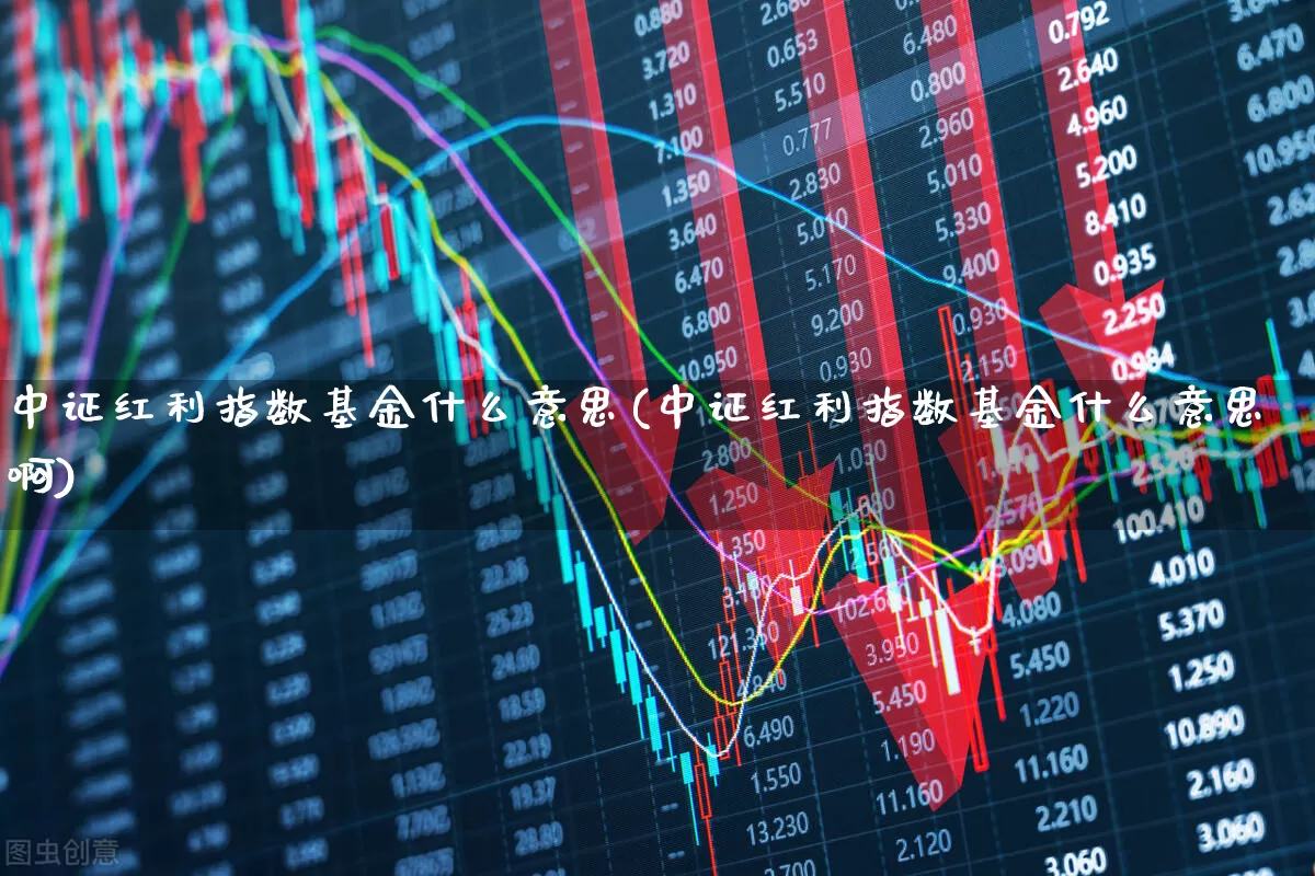 中证红利指数基金什么意思(中证红利指数基金什么意思啊)_https://www.fzdzcxj.com_科创板_第1张