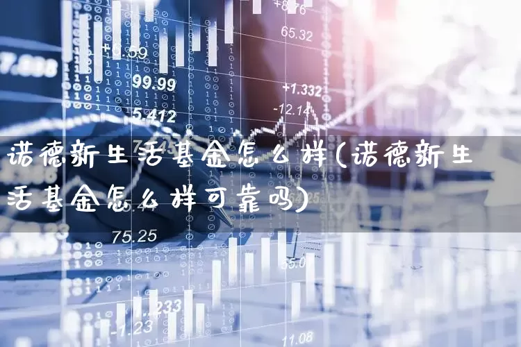 诺德新生活基金怎么样(诺德新生活基金怎么样可靠吗)_https://www.fzdzcxj.com_上交所_第1张