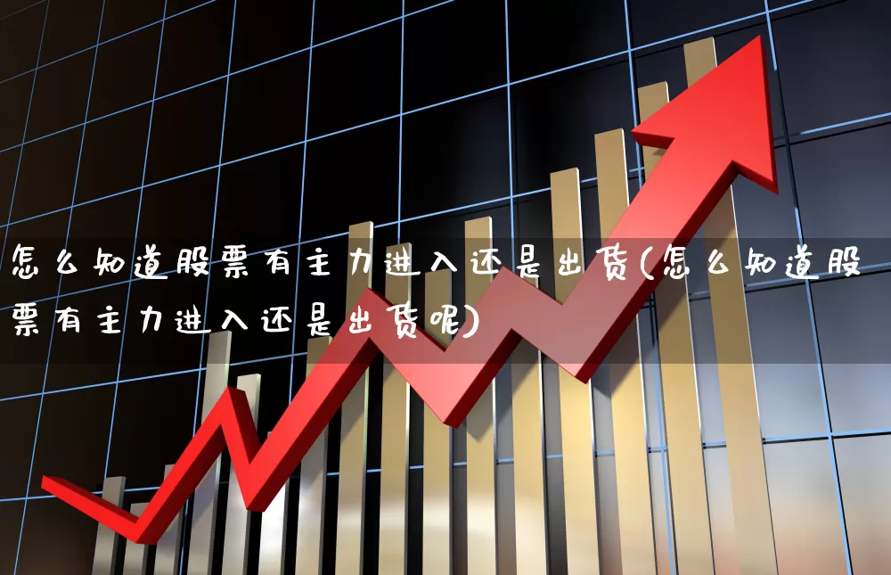 怎么知道股票有主力进入还是出货(怎么知道股票有主力进入还是出货呢)_https://www.fzdzcxj.com_科创板_第1张