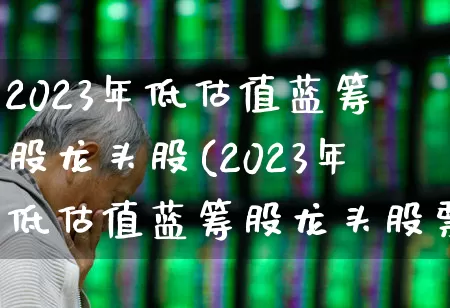 2023年低估值蓝筹股龙头股(2023年低估值蓝筹股龙头股票有哪些)_https://www.fzdzcxj.com_创业板_第1张