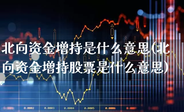 北向资金增持是什么意思(北向资金增持股票是什么意思)_https://www.fzdzcxj.com_北交所_第1张