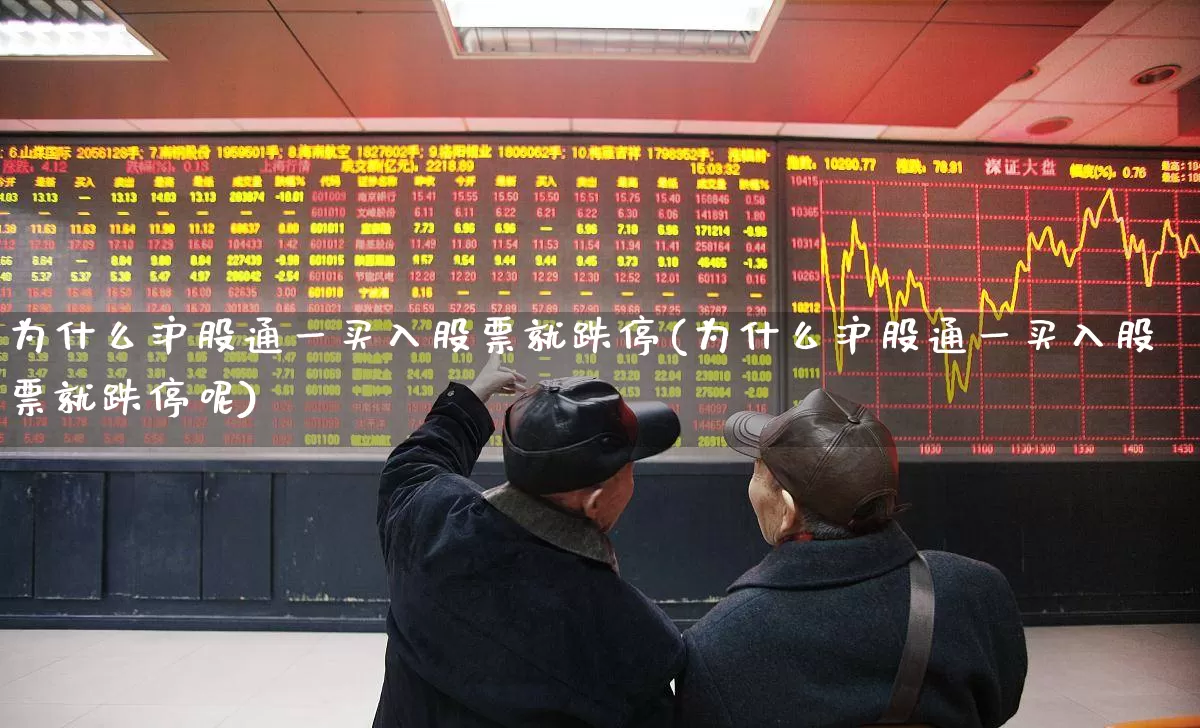 为什么沪股通一买入股票就跌停(为什么沪股通一买入股票就跌停呢)_https://www.fzdzcxj.com_创业板_第1张
