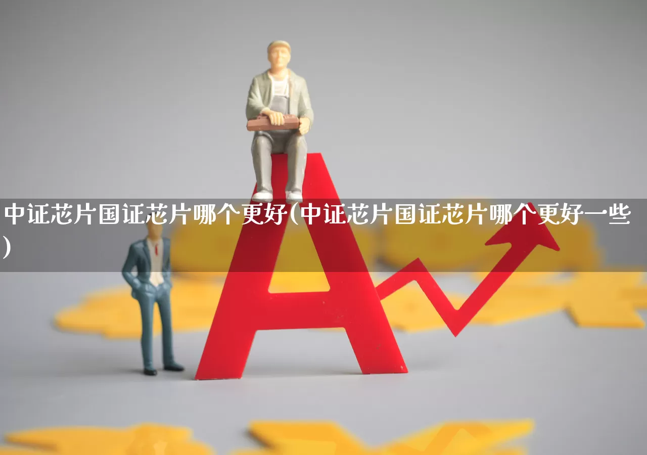 中证芯片国证芯片哪个更好(中证芯片国证芯片哪个更好一些)_https://www.fzdzcxj.com_上交所_第1张