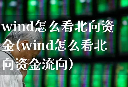 wind怎么看北向资金(wind怎么看北向资金流向)_https://www.fzdzcxj.com_创业板_第1张